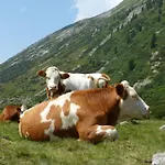 Vendégház Lexner 4*