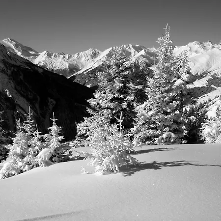 莱克斯奈尔旅馆 招待所 4*