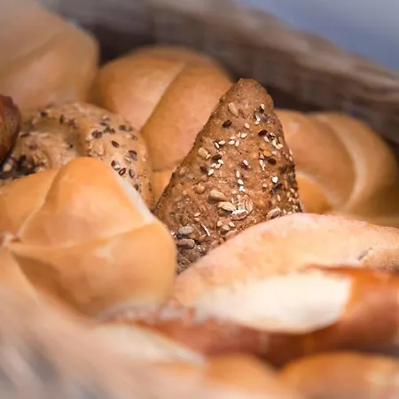 بيت ضيافة Lexner