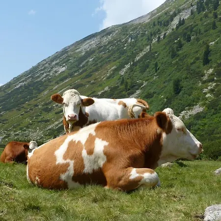 招待所 莱克斯奈尔旅馆 4*