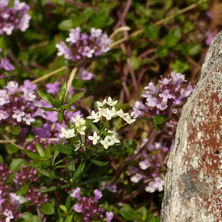 Lexner بيت ضيافة