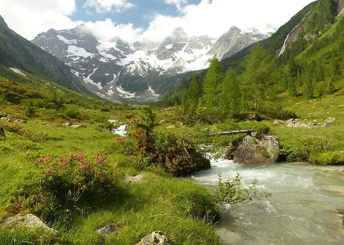 Lexner بيت ضيافة تكس