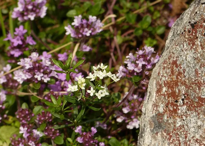 Lexner بيت ضيافة